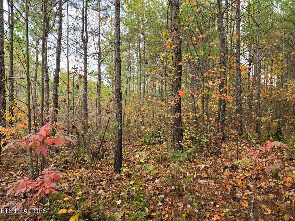 Photo of 5 W Robbins Rd, Robbins, TN 37852 (MLS # 1282223)