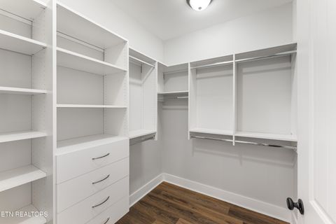 Tiny photo for 199 Chippewa Lane, Rutledge, TN 37861 (MLS # 1326123)