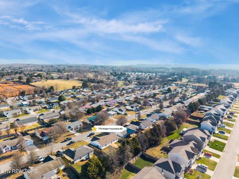 Tiny photo for 7712 Ralph Youmans Rd, Corryton, TN 37721 (MLS # 1324564)