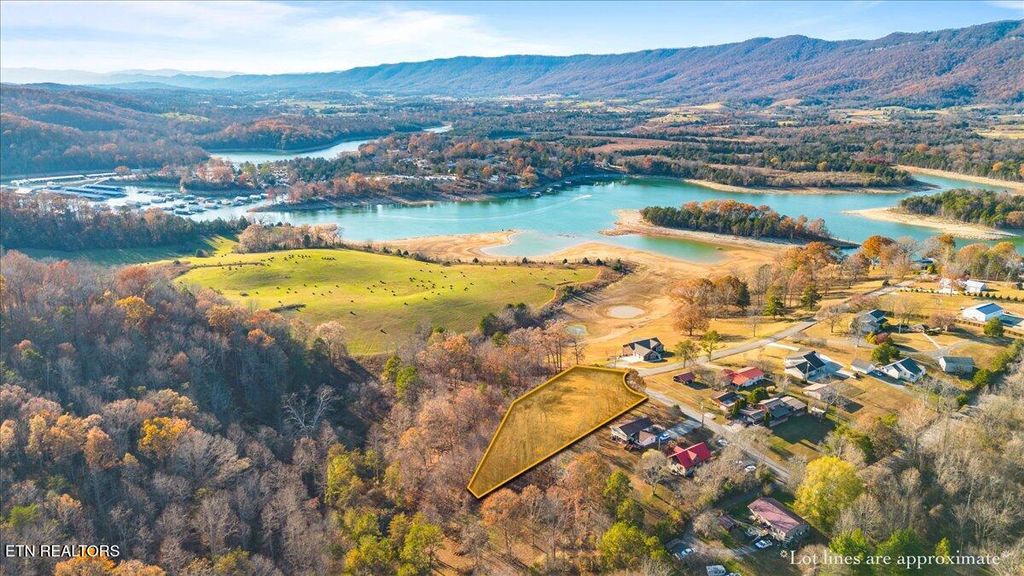 Photo of 900 Powell Valley Shores Circle, Speedwell, TN 37870 (MLS # 1322013)