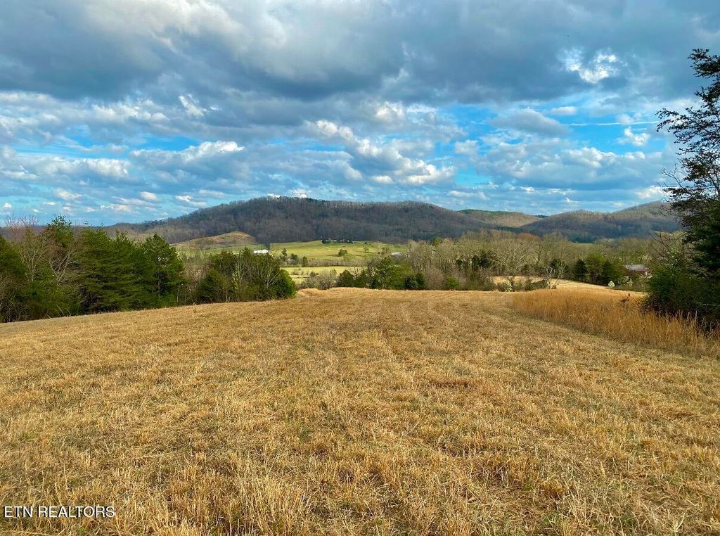 Photo of 130 Mans Hollow Rd, Kingston, TN 37763 (MLS # 1336766)