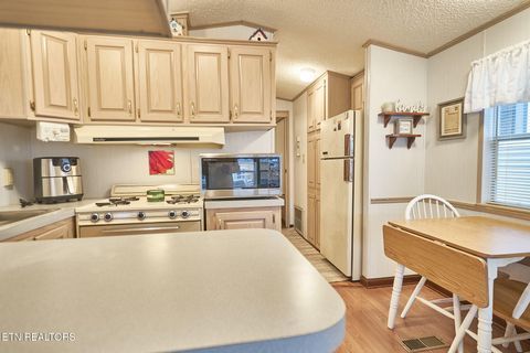 Tiny photo for 573 Flamingo Circle, Townsend, TN 37882 (MLS # 1331884)