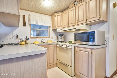 Tiny photo for 573 Flamingo Circle, Townsend, TN 37882 (MLS # 1331884)