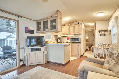 Tiny photo for 573 Flamingo Circle, Townsend, TN 37882 (MLS # 1331884)