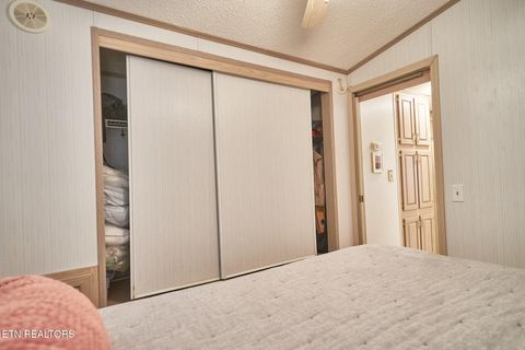 Tiny photo for 573 Flamingo Circle, Townsend, TN 37882 (MLS # 1331884)