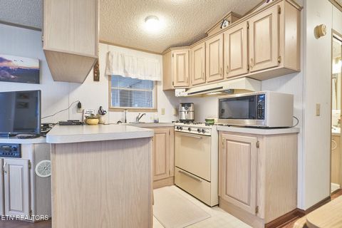 Tiny photo for 573 Flamingo Circle, Townsend, TN 37882 (MLS # 1331884)