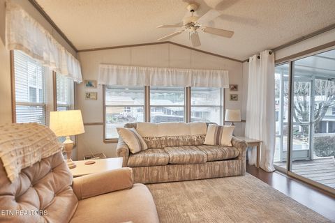 Tiny photo for 573 Flamingo Circle, Townsend, TN 37882 (MLS # 1331884)