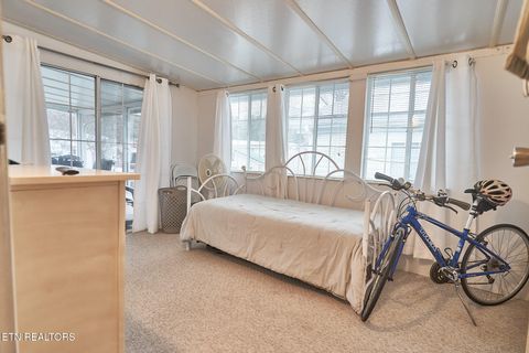 Tiny photo for 573 Flamingo Circle, Townsend, TN 37882 (MLS # 1331884)