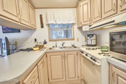 Tiny photo for 573 Flamingo Circle, Townsend, TN 37882 (MLS # 1331884)