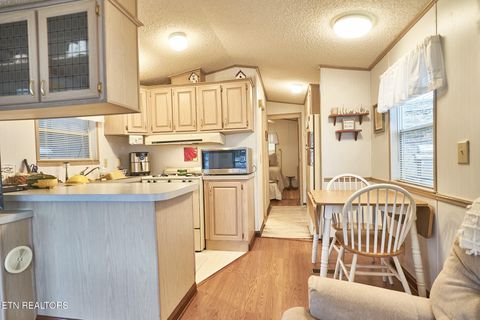 Tiny photo for 573 Flamingo Circle, Townsend, TN 37882 (MLS # 1331884)