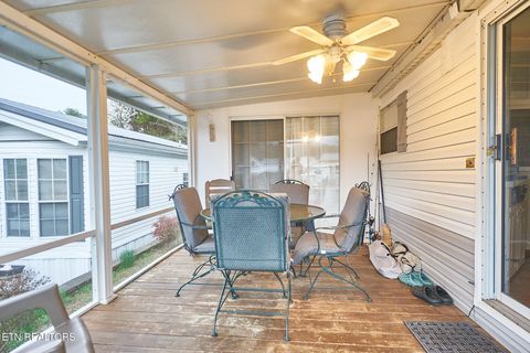 Tiny photo for 573 Flamingo Circle, Townsend, TN 37882 (MLS # 1331884)