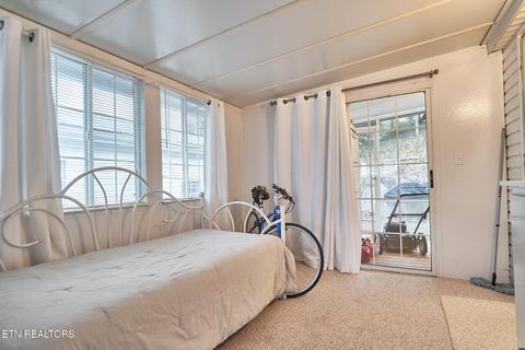 Tiny photo for 573 Flamingo Circle, Townsend, TN 37882 (MLS # 1331884)