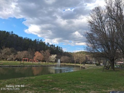 Tiny photo for 573 Flamingo Circle, Townsend, TN 37882 (MLS # 1331884)