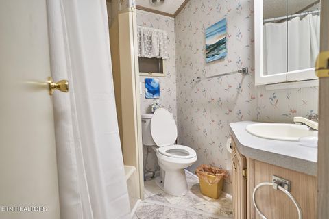 Tiny photo for 573 Flamingo Circle, Townsend, TN 37882 (MLS # 1331884)