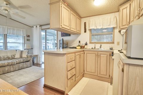 Tiny photo for 573 Flamingo Circle, Townsend, TN 37882 (MLS # 1331884)