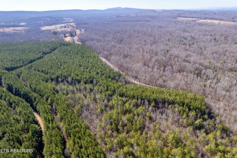 Tiny photo for Airport Rd, Rockwood, TN 37854 (MLS # 1357719)