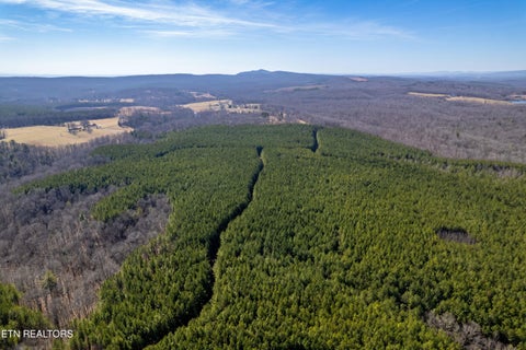 Tiny photo for Airport Rd, Rockwood, TN 37854 (MLS # 1357719)
