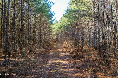 Tiny photo for Airport Rd, Rockwood, TN 37854 (MLS # 1357719)