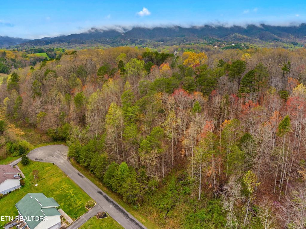 Photo of 0 English Fields Drive, Newport, TN 37821 (MLS # 1295842)