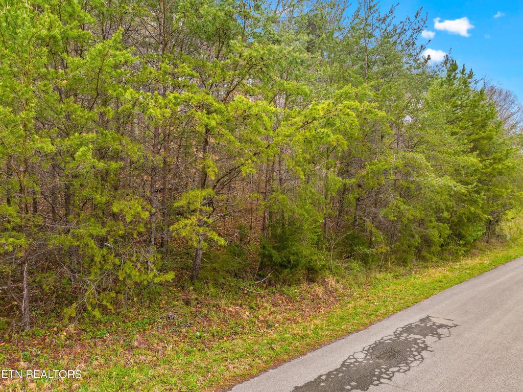 Photo of 0 English Fields Drive, Newport, TN 37821 (MLS # 1295842)
