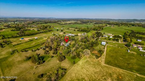 Tiny photo for 1011 Buffalo Rd, Jefferson City, TN 37760 (MLS # 1340474)