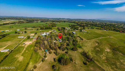 Tiny photo for 1011 Buffalo Rd, Jefferson City, TN 37760 (MLS # 1340474)