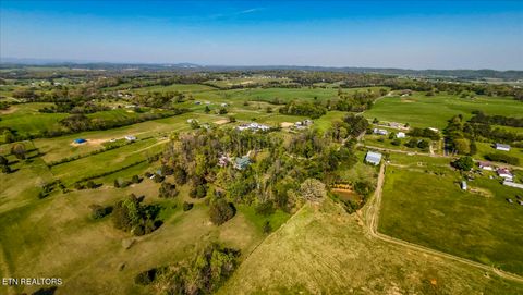 Tiny photo for 1011 Buffalo Rd, Jefferson City, TN 37760 (MLS # 1340474)