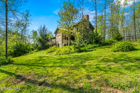 Tiny photo for 1011 Buffalo Rd, Jefferson City, TN 37760 (MLS # 1340474)