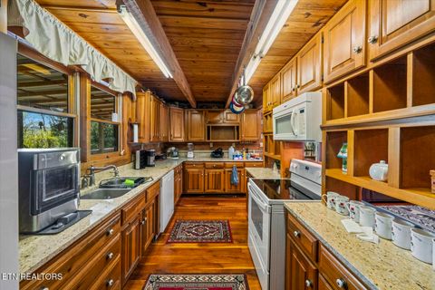 Tiny photo for 1011 Buffalo Rd, Jefferson City, TN 37760 (MLS # 1340474)