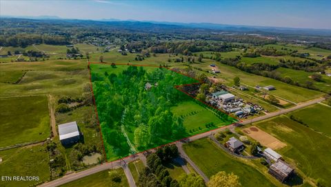 Tiny photo for 1011 Buffalo Rd, Jefferson City, TN 37760 (MLS # 1340474)