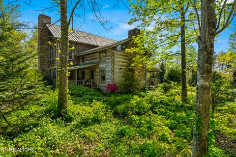 Tiny photo for 1011 Buffalo Rd, Jefferson City, TN 37760 (MLS # 1340474)