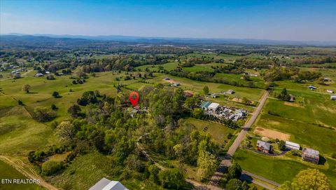 Tiny photo for 1011 Buffalo Rd, Jefferson City, TN 37760 (MLS # 1340474)