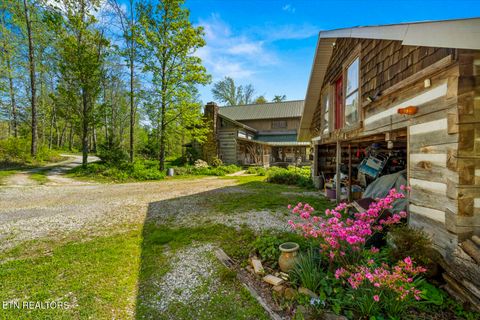 Tiny photo for 1011 Buffalo Rd, Jefferson City, TN 37760 (MLS # 1340474)