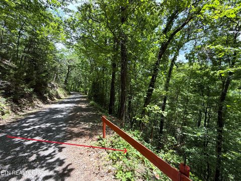 Photo of Aintree Drive, Sevierville, TN 37876 (MLS # 1342845)