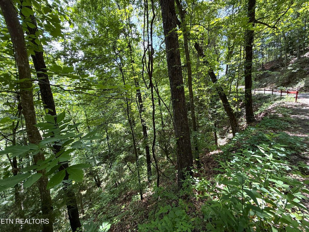 Photo of Aintree Drive, Sevierville, TN 37876 (MLS # 1342845)