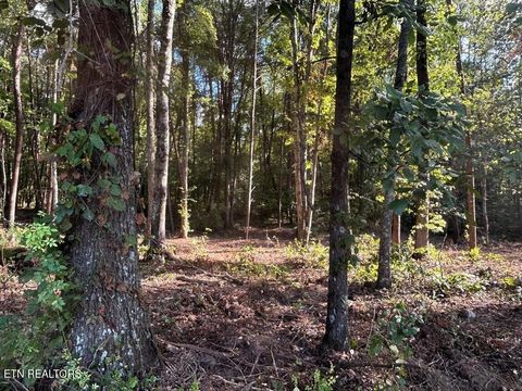 Tiny photo for 4 Pleasant Hill Rd, Ten Mile, TN 37880 (MLS # 1333666)
