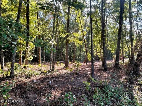 Tiny photo for 4 Pleasant Hill Rd, Ten Mile, TN 37880 (MLS # 1333666)