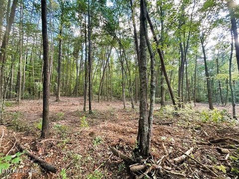 Tiny photo for 4 Pleasant Hill Rd, Ten Mile, TN 37880 (MLS # 1333666)