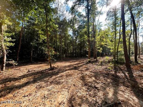 Tiny photo for 4 Pleasant Hill Rd, Ten Mile, TN 37880 (MLS # 1333666)