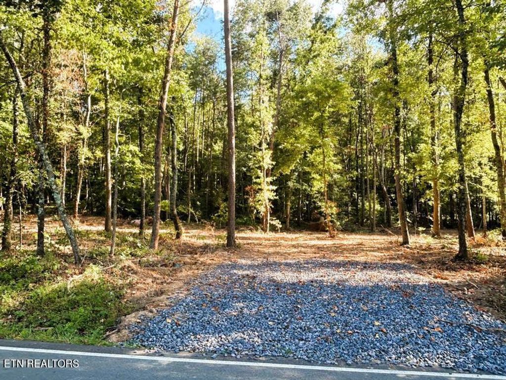 Photo of 4 Pleasant Hill Rd, Ten Mile, TN 37880 (MLS # 1333666)
