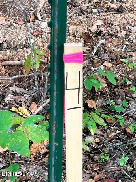 Tiny photo for 4 Pleasant Hill Rd, Ten Mile, TN 37880 (MLS # 1333666)