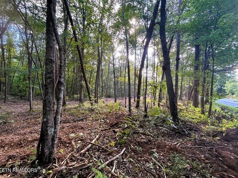 Tiny photo for 4 Pleasant Hill Rd, Ten Mile, TN 37880 (MLS # 1333666)