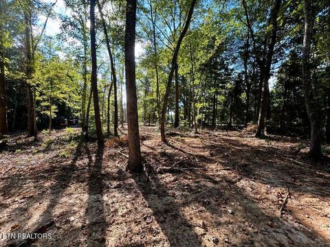 Tiny photo for 4 Pleasant Hill Rd, Ten Mile, TN 37880 (MLS # 1333666)