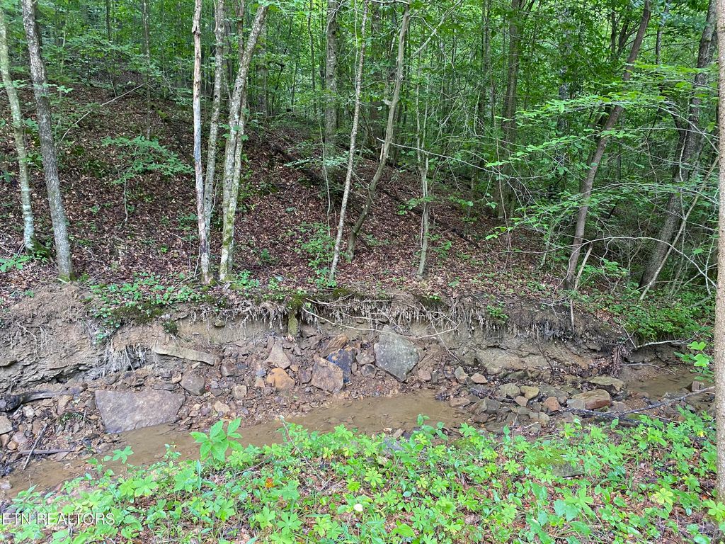 Photo of 15 STANLEY CREEK RD, Oneida, TN 37841 (MLS # 1284852)