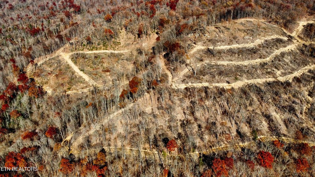Photo of 15 STANLEY CREEK RD, Oneida, TN 37841 (MLS # 1284852)