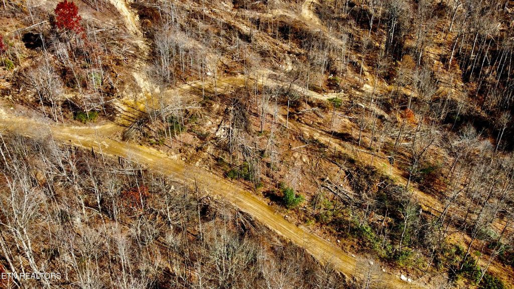 Photo of 15 STANLEY CREEK RD, Oneida, TN 37841 (MLS # 1284852)