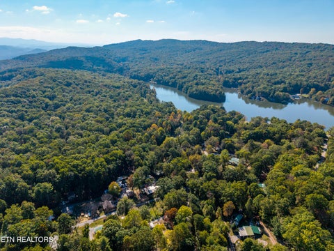 Tiny photo for 6011 Ohio St, Tallassee, TN 37878 (MLS # 1359289)