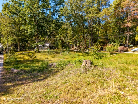 Tiny photo for 6011 Ohio St, Tallassee, TN 37878 (MLS # 1359289)