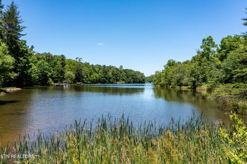 Tiny photo for 6011 Ohio St, Tallassee, TN 37878 (MLS # 1359289)