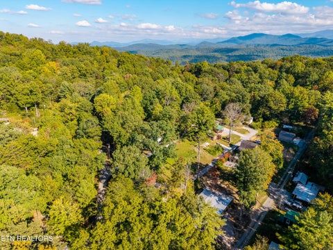 Tiny photo for 6011 Ohio St, Tallassee, TN 37878 (MLS # 1359289)
